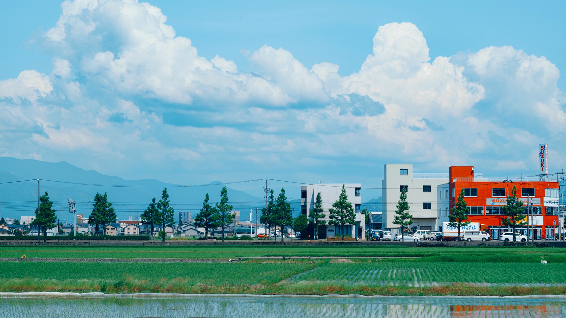 Desktop wallpaper 10