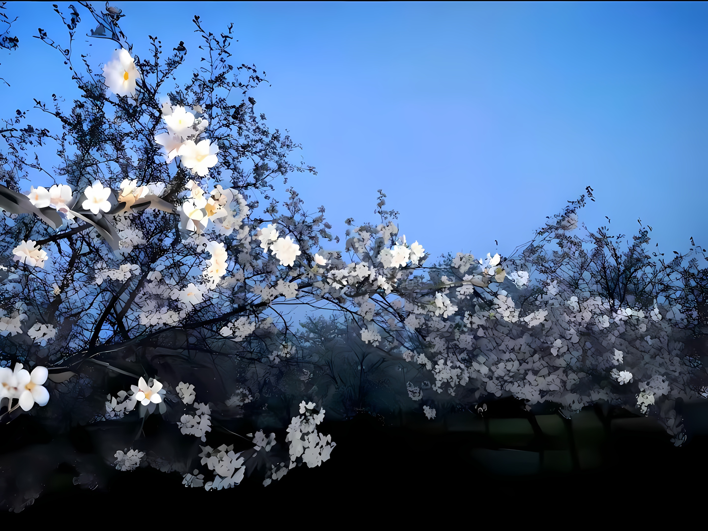 Desktop wallpaper 17